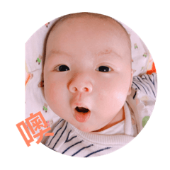 小寶有故事
