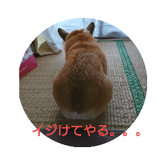 ume123456