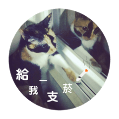你好我是卡薩布勒卡