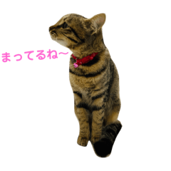 rk_20190416215119