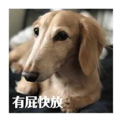 得祝的換罐罐日常1