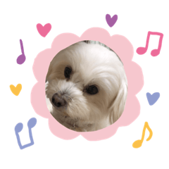 kie_20190416211712