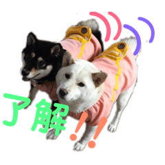 saori_20190417001458