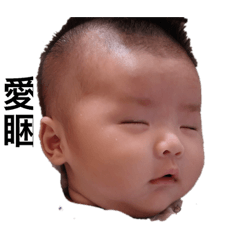 凡凡初體驗