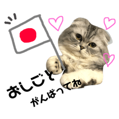 arisa_20190417001435