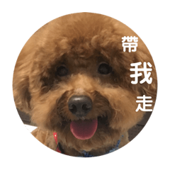鼻波❤️