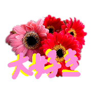 aya-pon_20190415011152