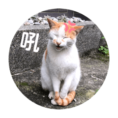 小芙仔的耍廢日常