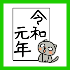 Exotic Shorthair moticat2