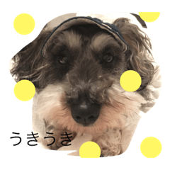 mia_20190417084308