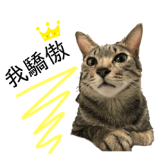 自己的罐罐自己賺～