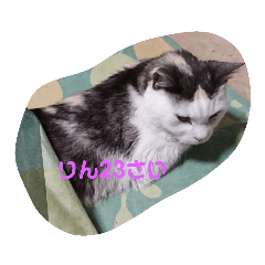 chie_20190417101004