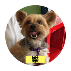 惡犬胖胖2