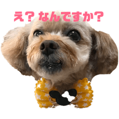 Minorin_Casper_20190417123958