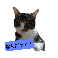 kuu0213