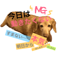 Nanami_20190417132222