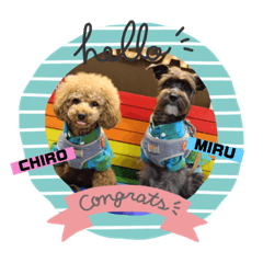 CHIRO & MIRU3