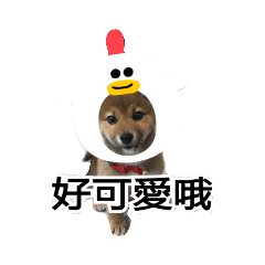 快樂小8