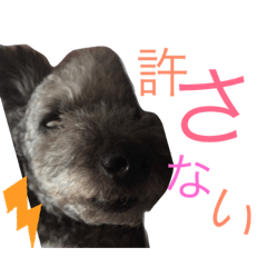 mako_20190417181958