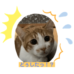 Pyon_20190417171058