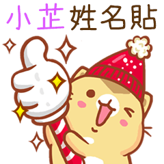 Niu Niu Cat-"XIAO ZHI 2"Q