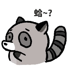 Cute Raccoon (Gray Gray)