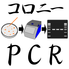 Colony PCR Stickers