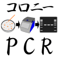 コロニー PCR法 スタンプ