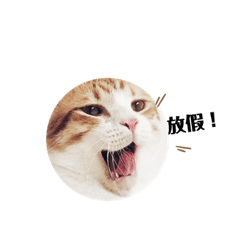 萌萌們的日常厭世