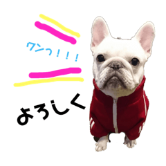 musashikojiro