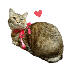 mimi_20190418001601