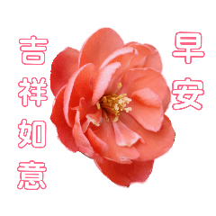 花花早安篇