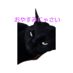 BLACKCAT_20190418123059