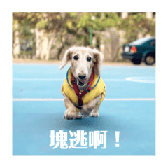 得祝的換罐罐日常2