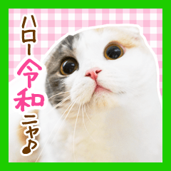 ハロー令和ニャ