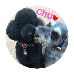 It isn't ice,it's Pino.