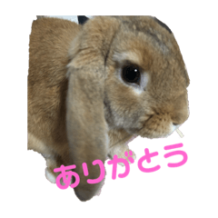 kanae_20190418234230