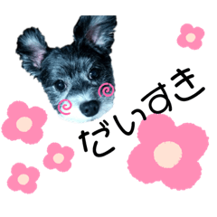 ku-chan2019
