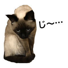CHIE_20190418184556