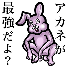 Pink bunny sticker! Akane!