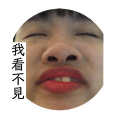 臻龍淳香2