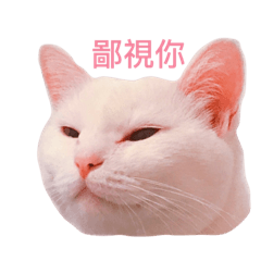 哼喵 – LINE貼圖 | LINE STORE