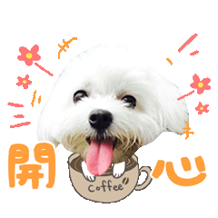 小公主球球