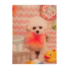 Riri_20190419015305