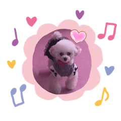 Riri20190419010305