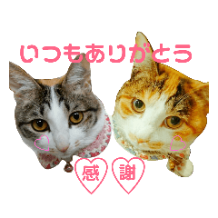 Smile_20190419132451