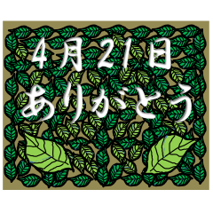Thank you<April-Daily>Leaves