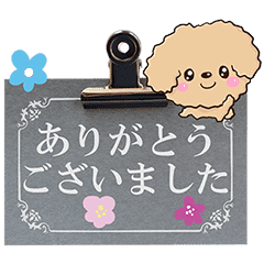 トイプードル アプリコット メモ書き編 Line スタンプ Line Store トイプードル アプリコット メモ書き編 Line スタンプ Line Store
