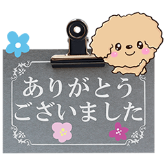 Flowers and Toy poodle (Wall Decoration)
