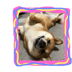 moco mam_20190418223347